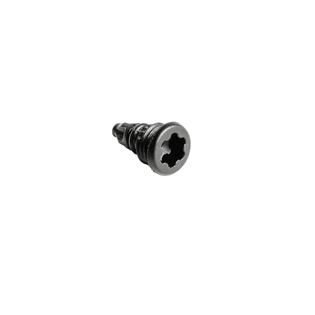 Magura EBT screws complete with O-ring