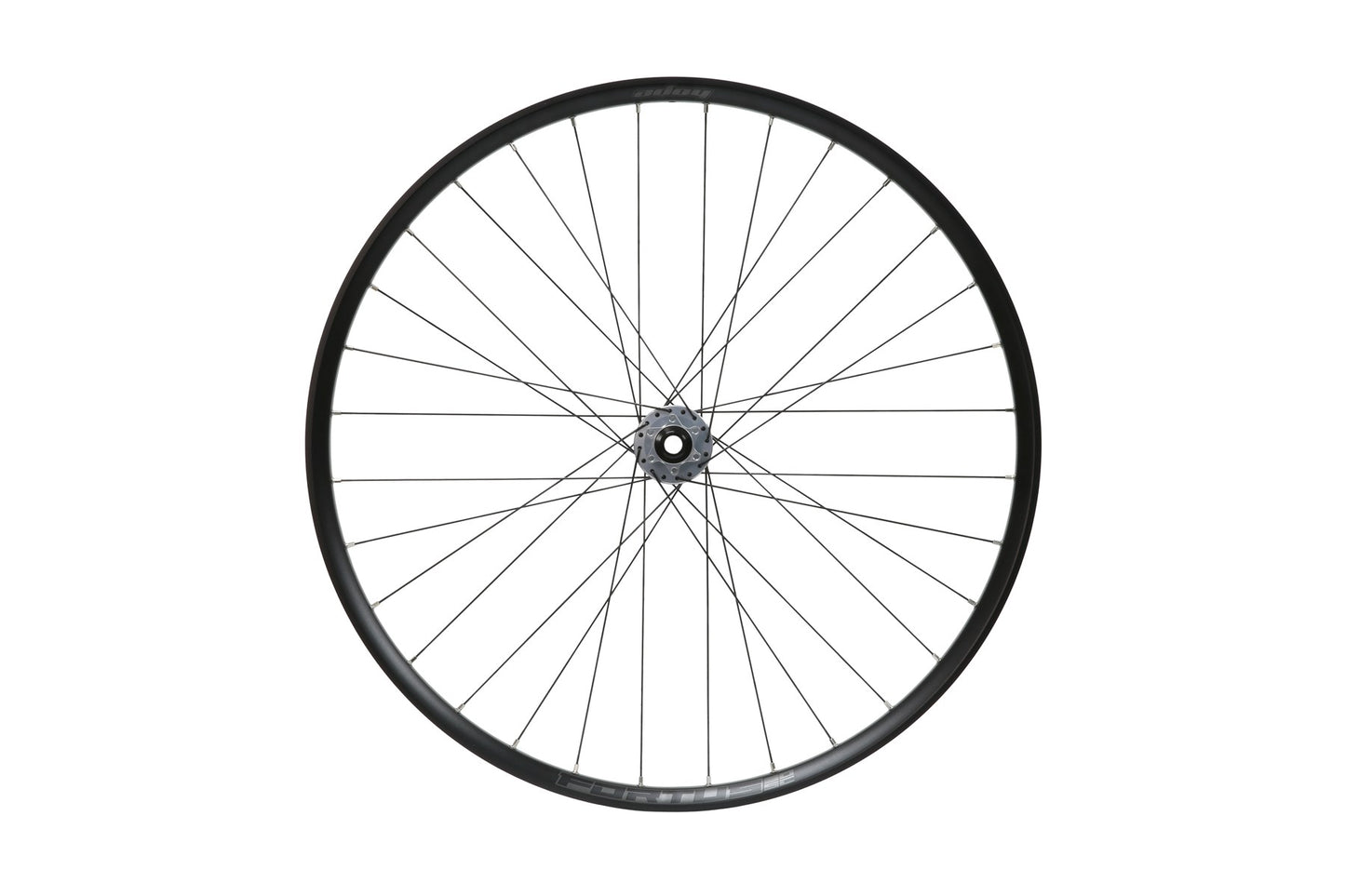 Hope Front 29ER Fortus 30W SC - Pro 5 - Silver - 110mm Boost