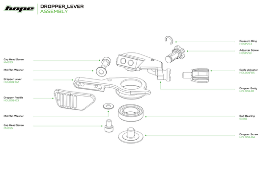 Hope Dropper Lever - Main Screw - Silver