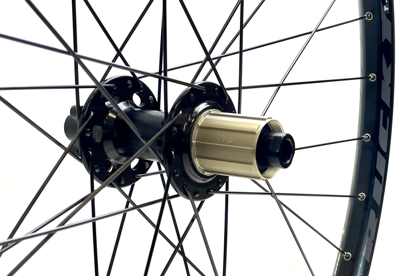 D2O 29" Rear Wheel – Sealed Bolt-Thru BOOST Hub / 35mm Disc Rim – Black