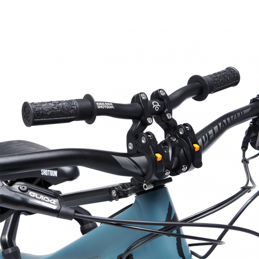 Kids Ride Shotgun Pro Child Bike Seat Handlebars