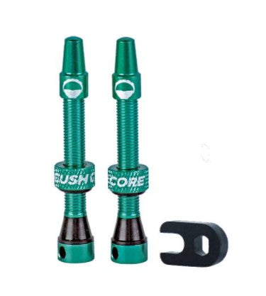 CushCore Tubeless Air Valves
